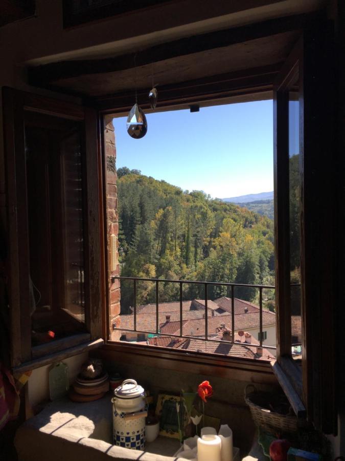 Ferienwohnung Castello Di Urbech Pratovecchio Exterior foto