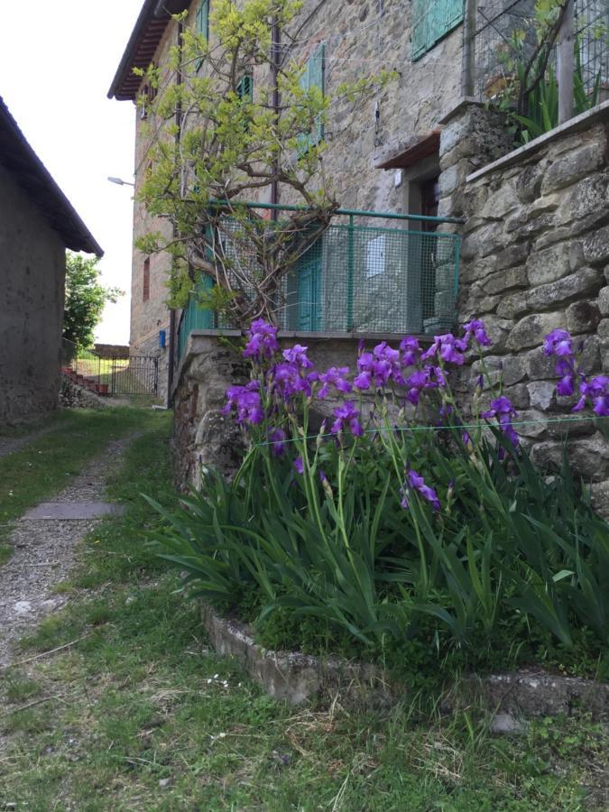 Ferienwohnung Castello Di Urbech Pratovecchio Exterior foto